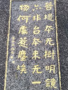 һ�����е�����