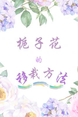 ���ӻ������Է��������o��ī