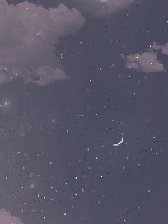 ǰ��
