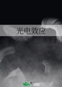 ���ЧӦ