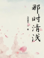 ��ʱ��ǳ