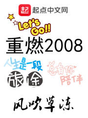 ��ȼ2008