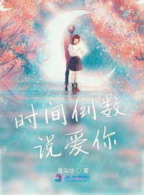 ʱ�䵹��˵����