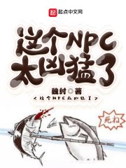 ���NPC̫������