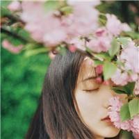 ֻ�鲻����ǰ�����ϼ�