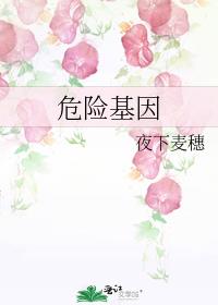 Σ�ջ���