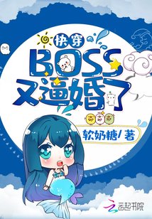 �촩BOSS�ֱƻ���