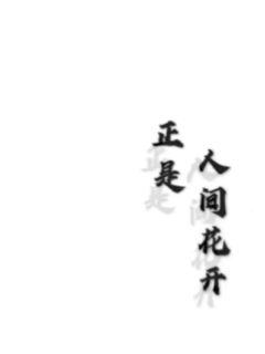 �����˼仨��