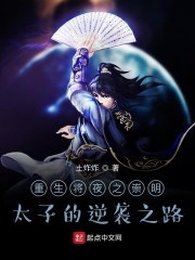 ������ҹ֮����̫�ӵ���Ϯ֮·
