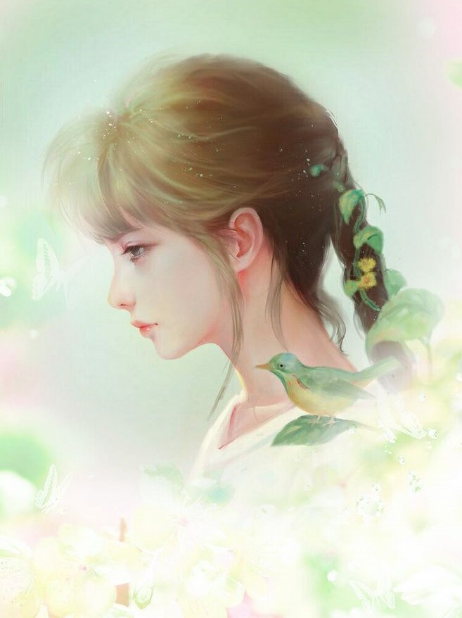 �鸾����