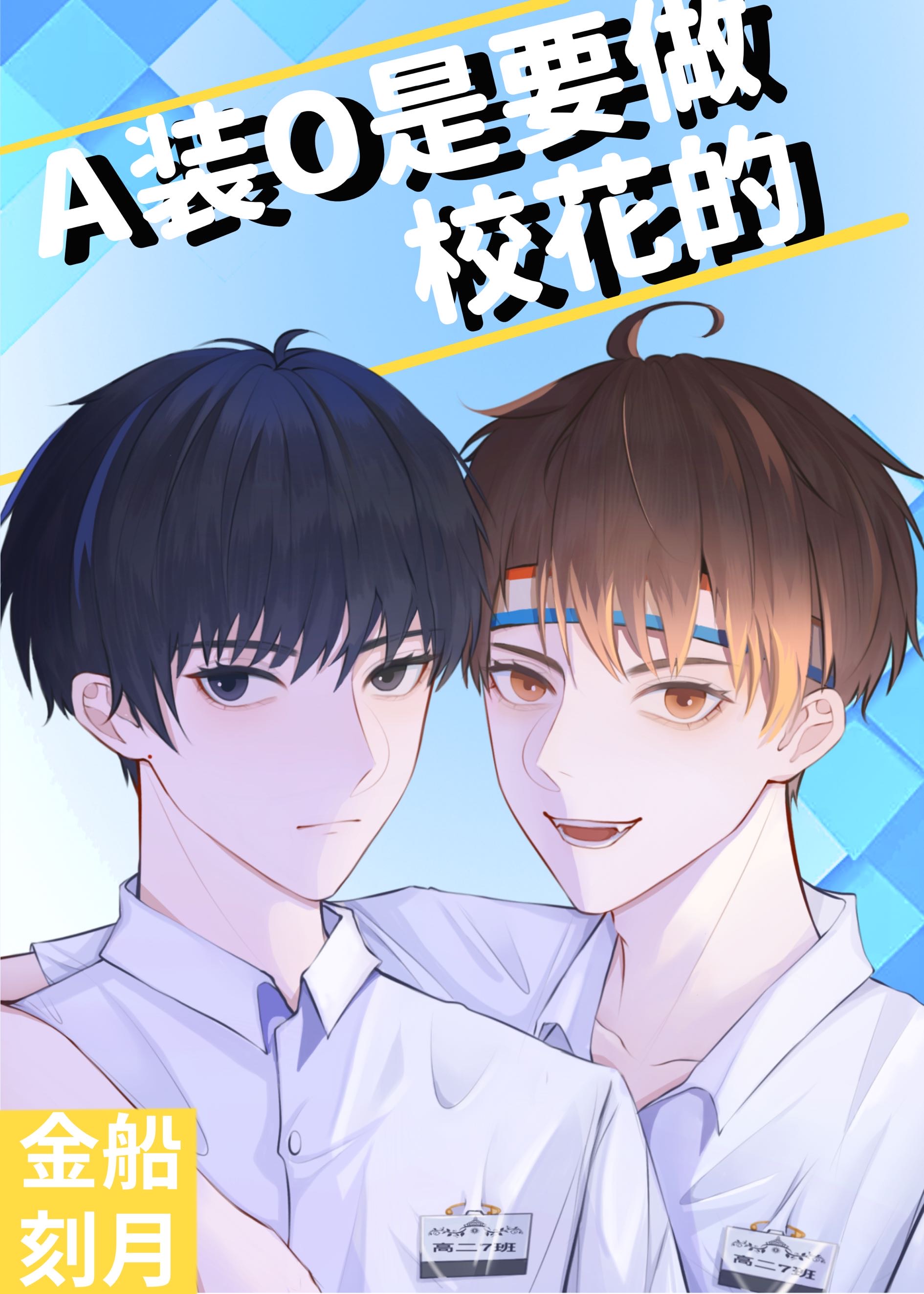 AװO��Ҫ��У����