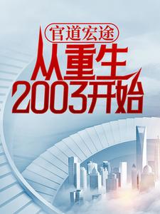 �ٵ���;��������2003��ʼ