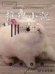 ����д����С˵